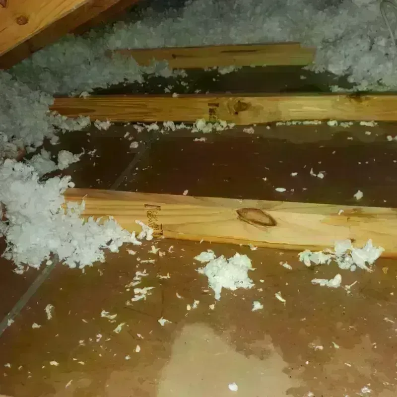 Attic Water Damage in Sacramento County, CA