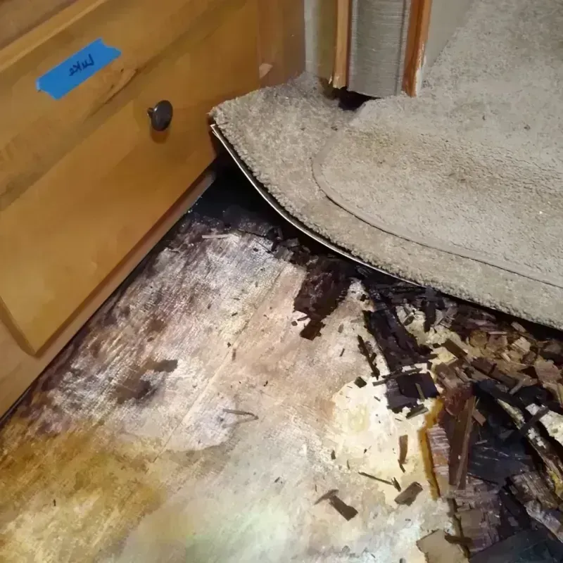 Wood Floor Water Damage in Sacramento County, CA